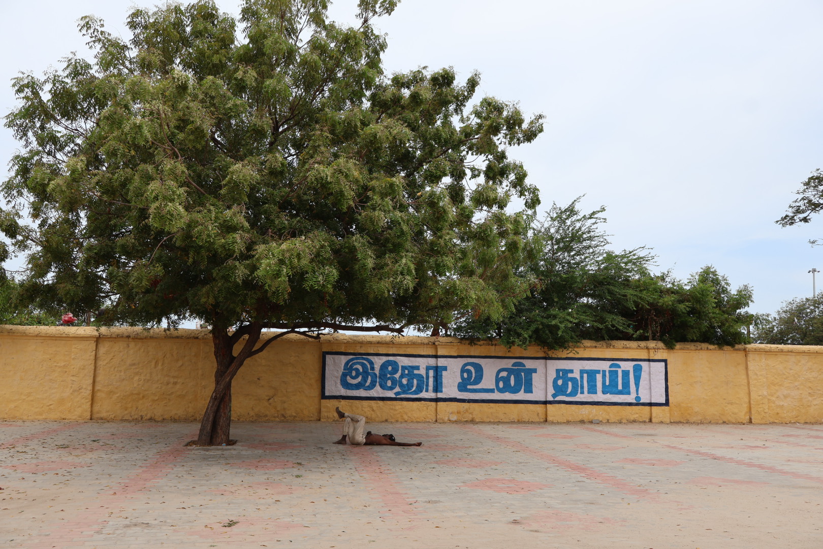 Frame 2