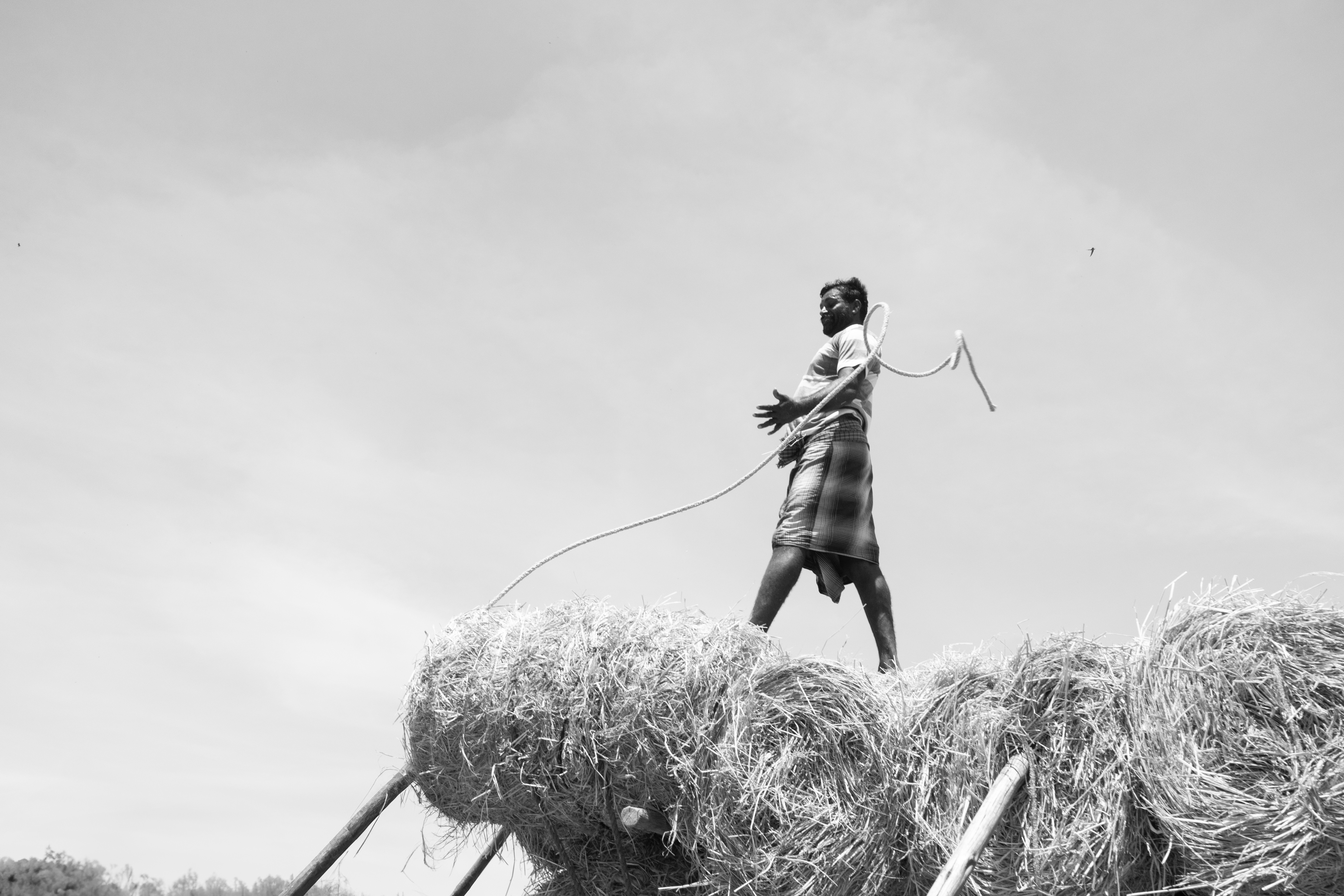 Man on Hay Bales